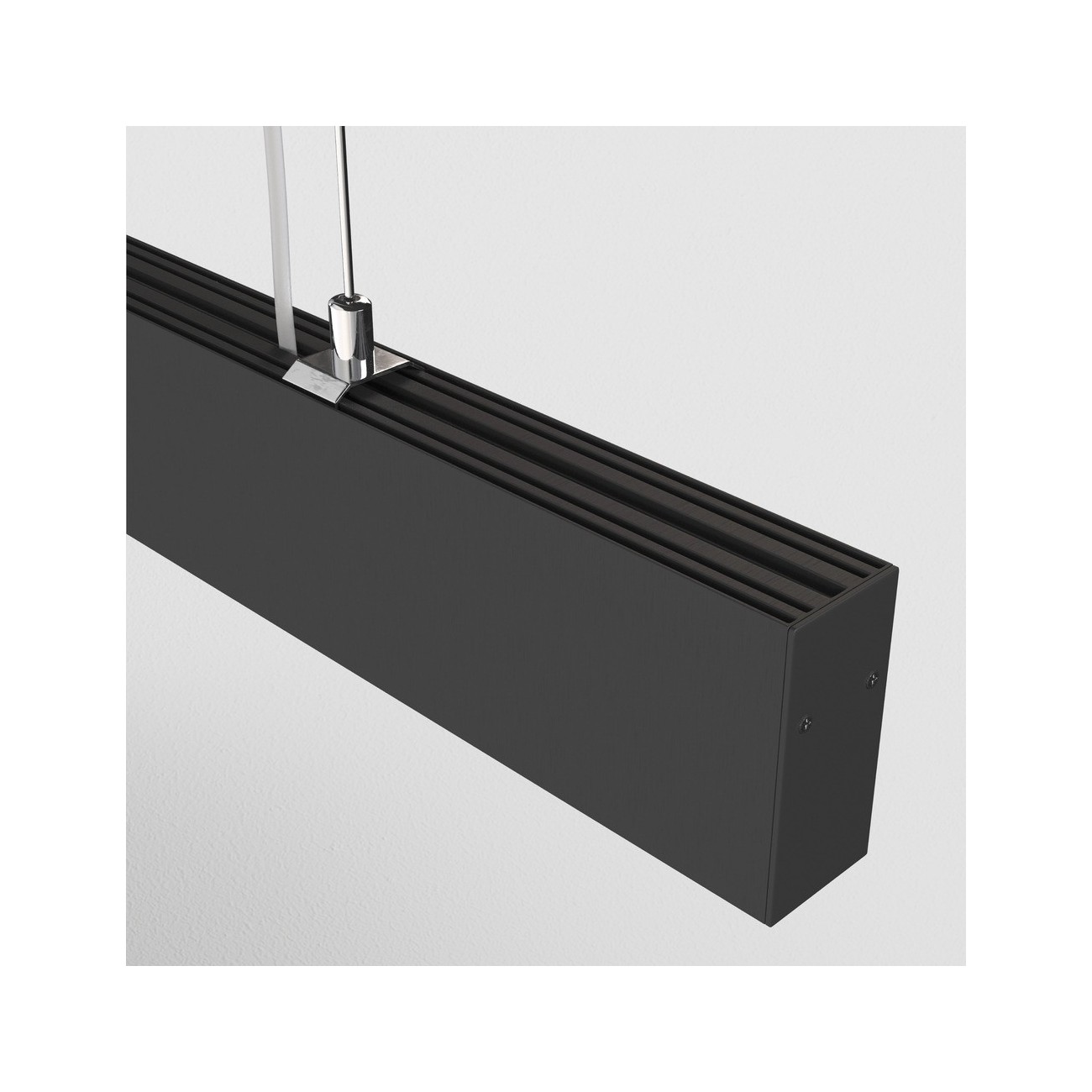 Maytoni Technical Pendant Suspension Lamp Points