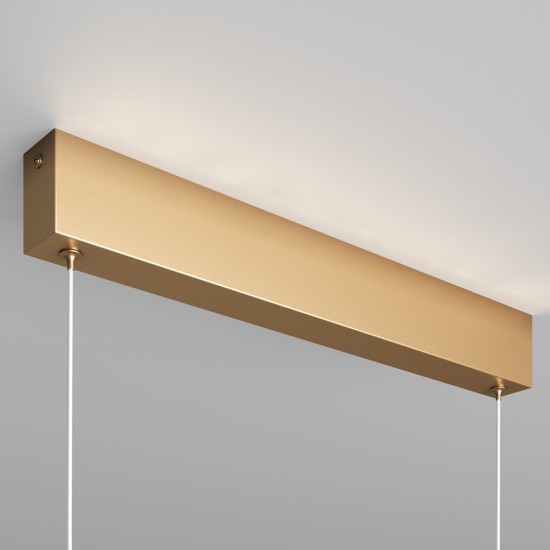 Maytoni Technical Pendant Suspension Lamp Step