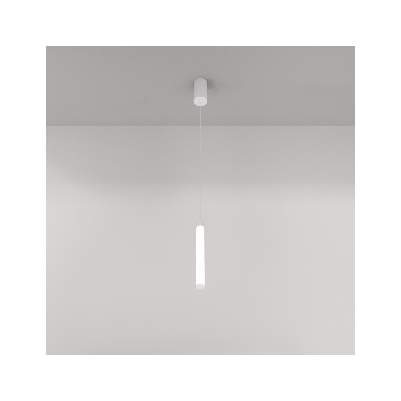 Maytoni Technical Pendant Suspension Lamp Ray