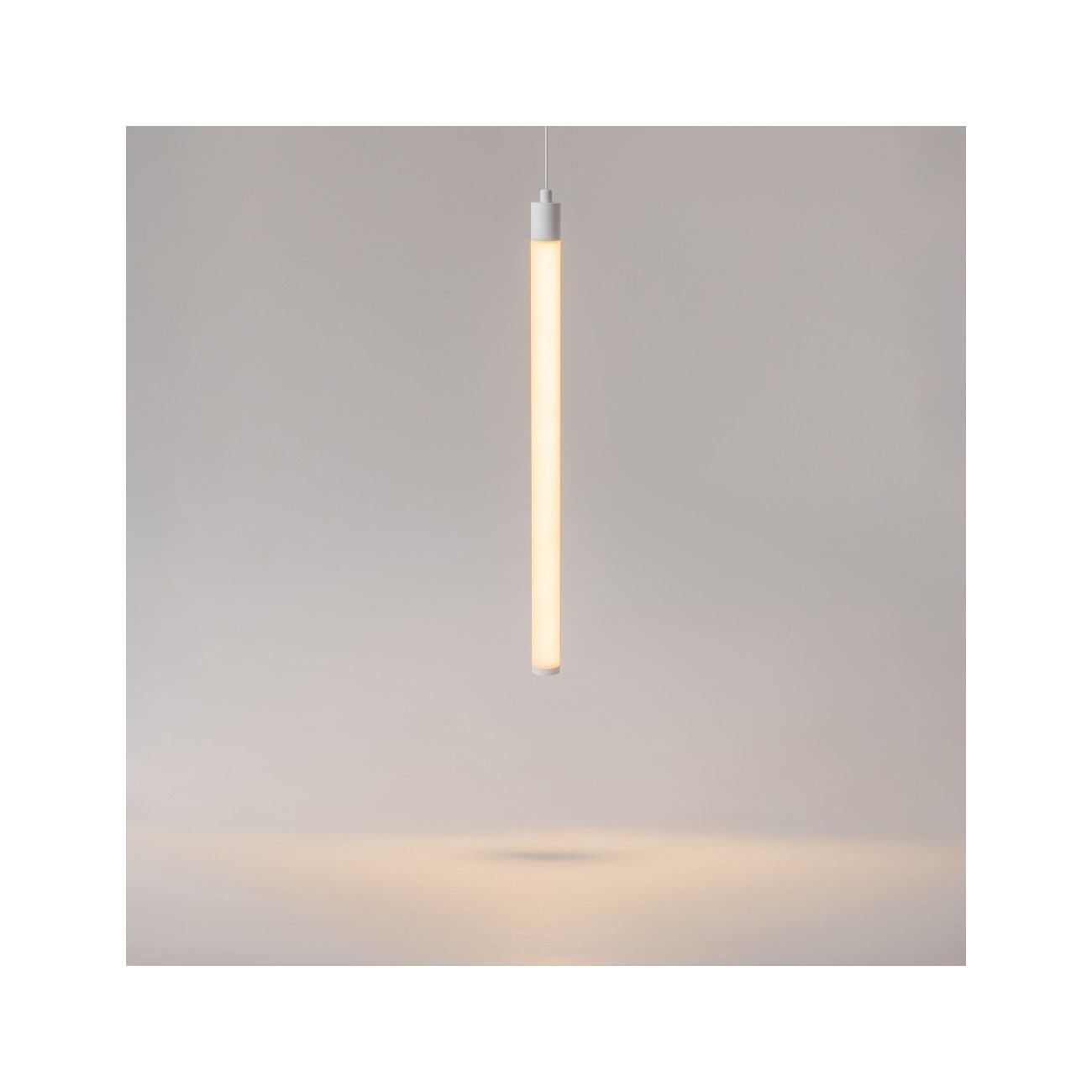 Maytoni Technical Pendant Suspension Lamp Ray