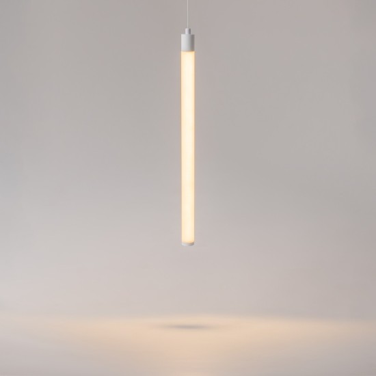 Maytoni Technical Pendant Suspension Lamp Ray
