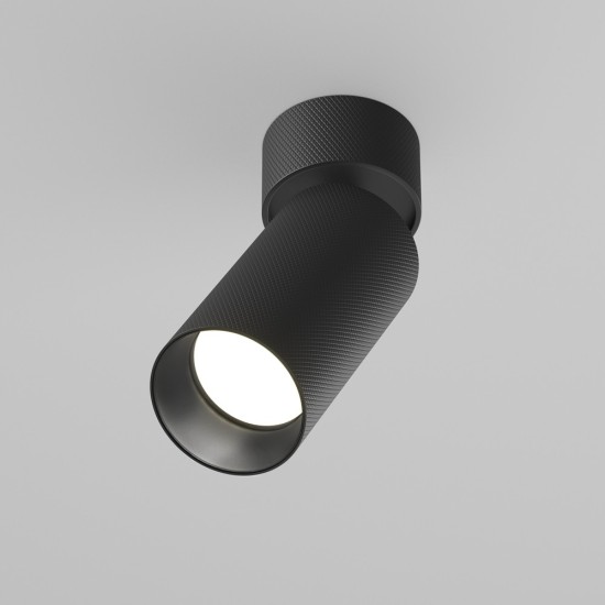 Maytoni Ceiling Roof lamp Artisan