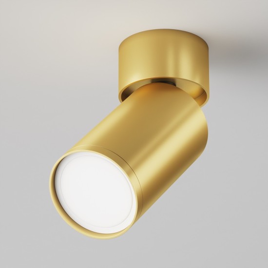 Maytoni Ceiling Roof lamp Focus S