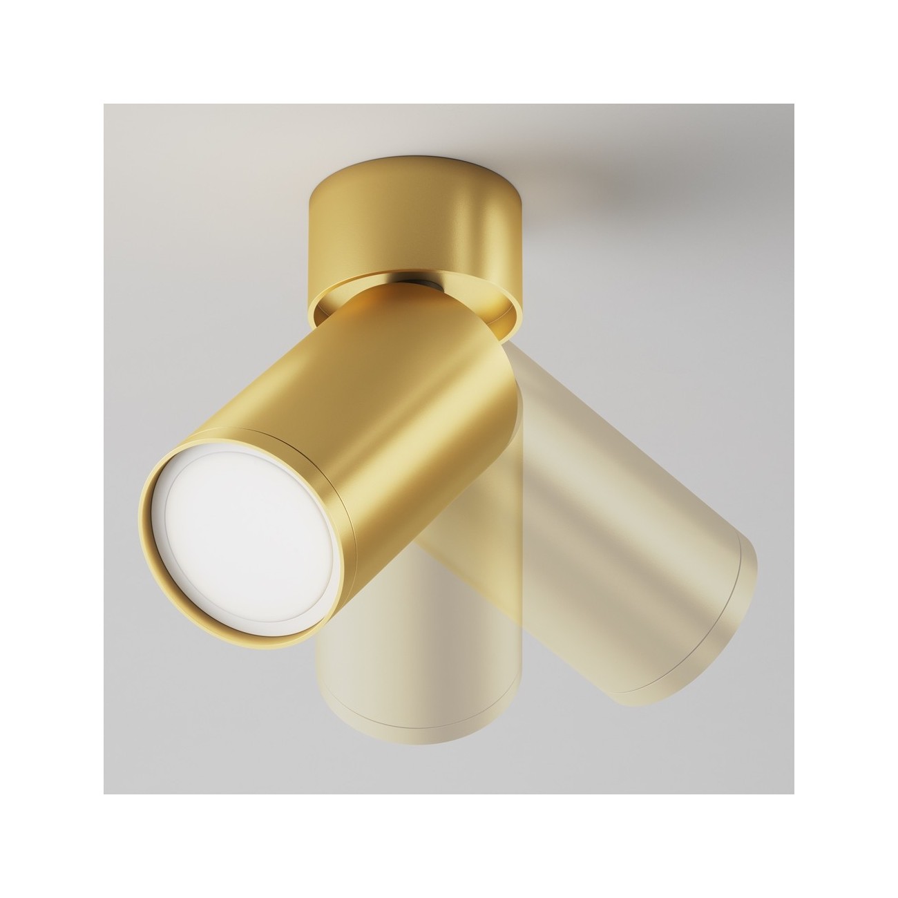 Maytoni Ceiling Roof lamp Focus S