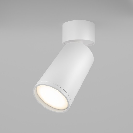 Maytoni Ceiling Roof lamp Focus S