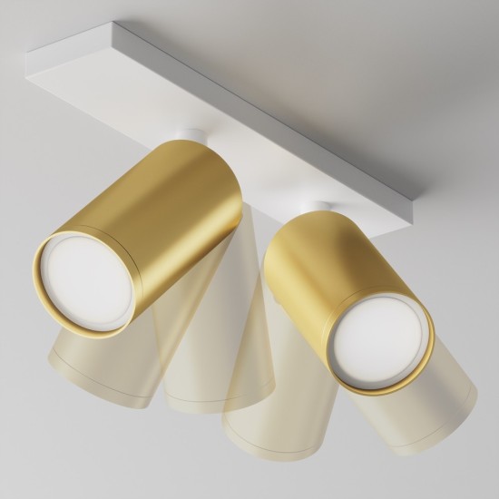 Maytoni Ceiling Roof lamp Focus S