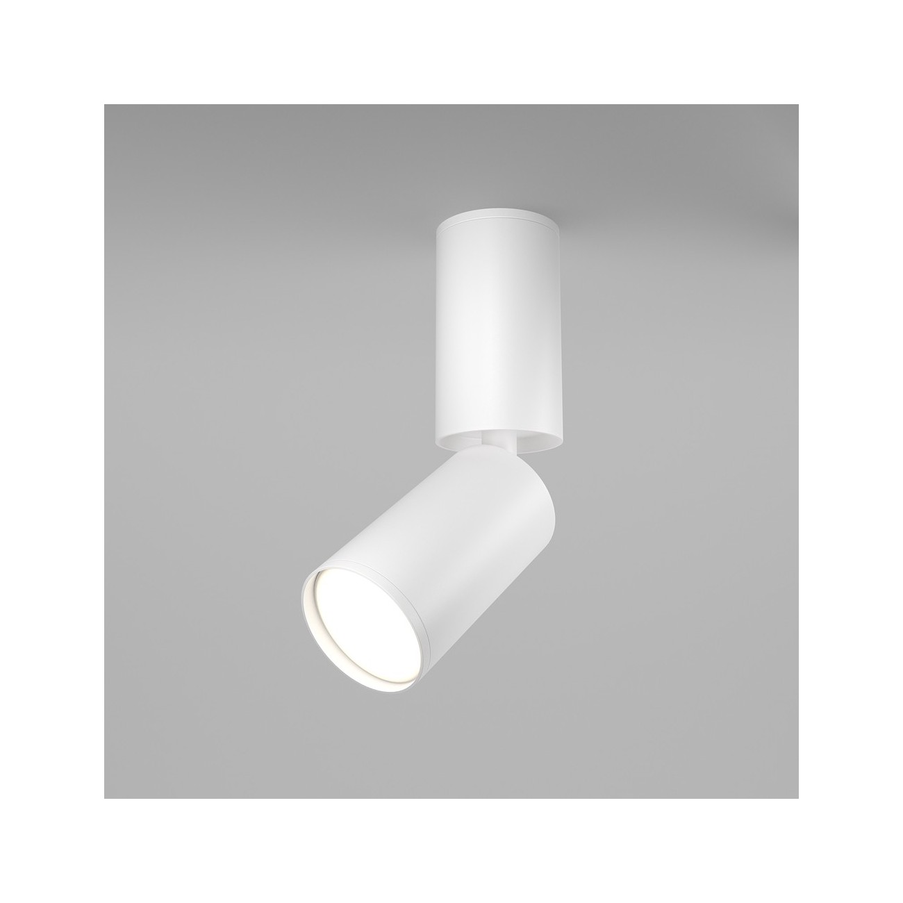 Maytoni Ceiling Roof lamp Focus S