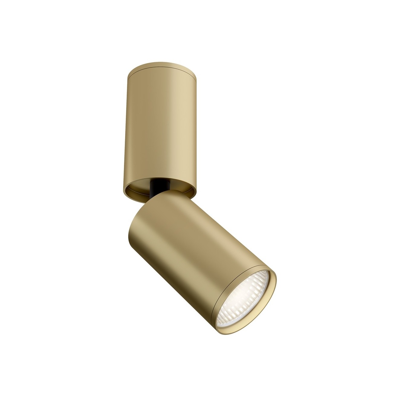 Maytoni Ceiling Lampe de Toit Focus S