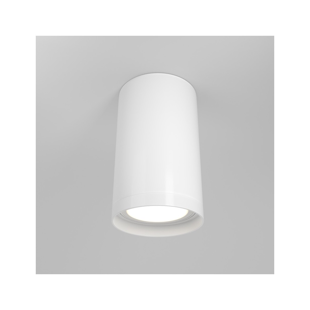 Maytoni Ceiling Roof lamp Focus S
