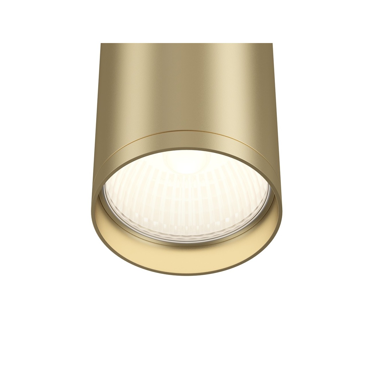Maytoni Ceiling Roof lamp Focus S