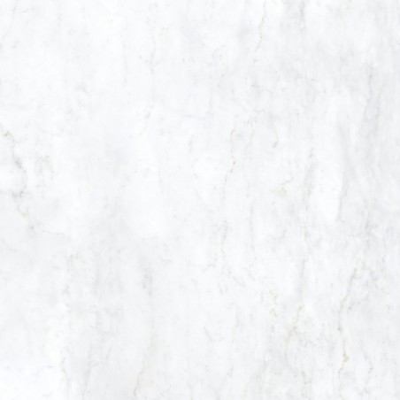 Ava Marmi Bianco Bernini