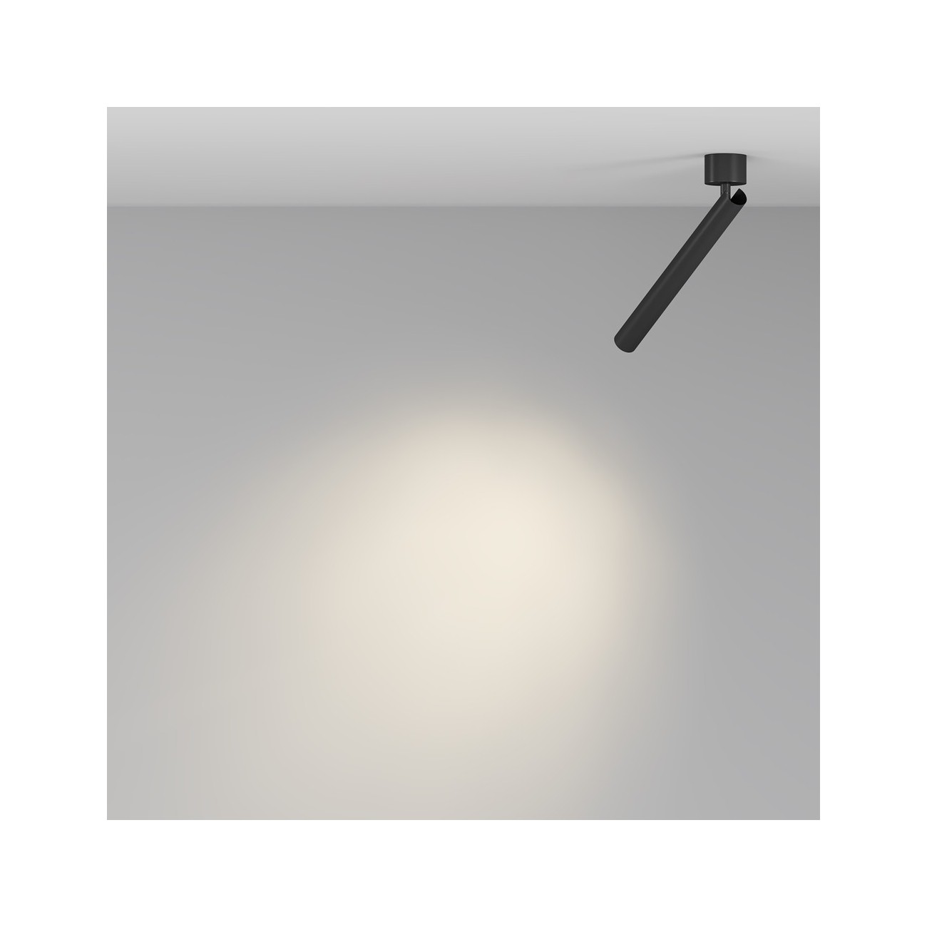Maytoni Ceiling Lampada a Tetto Focus T
