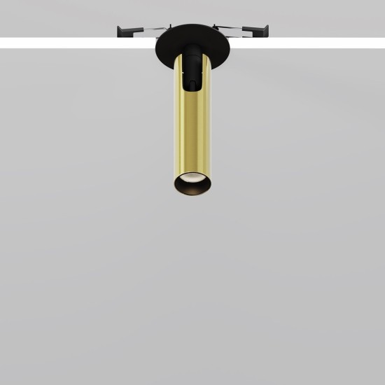 Maytoni Ceiling Roof lamp Focus T