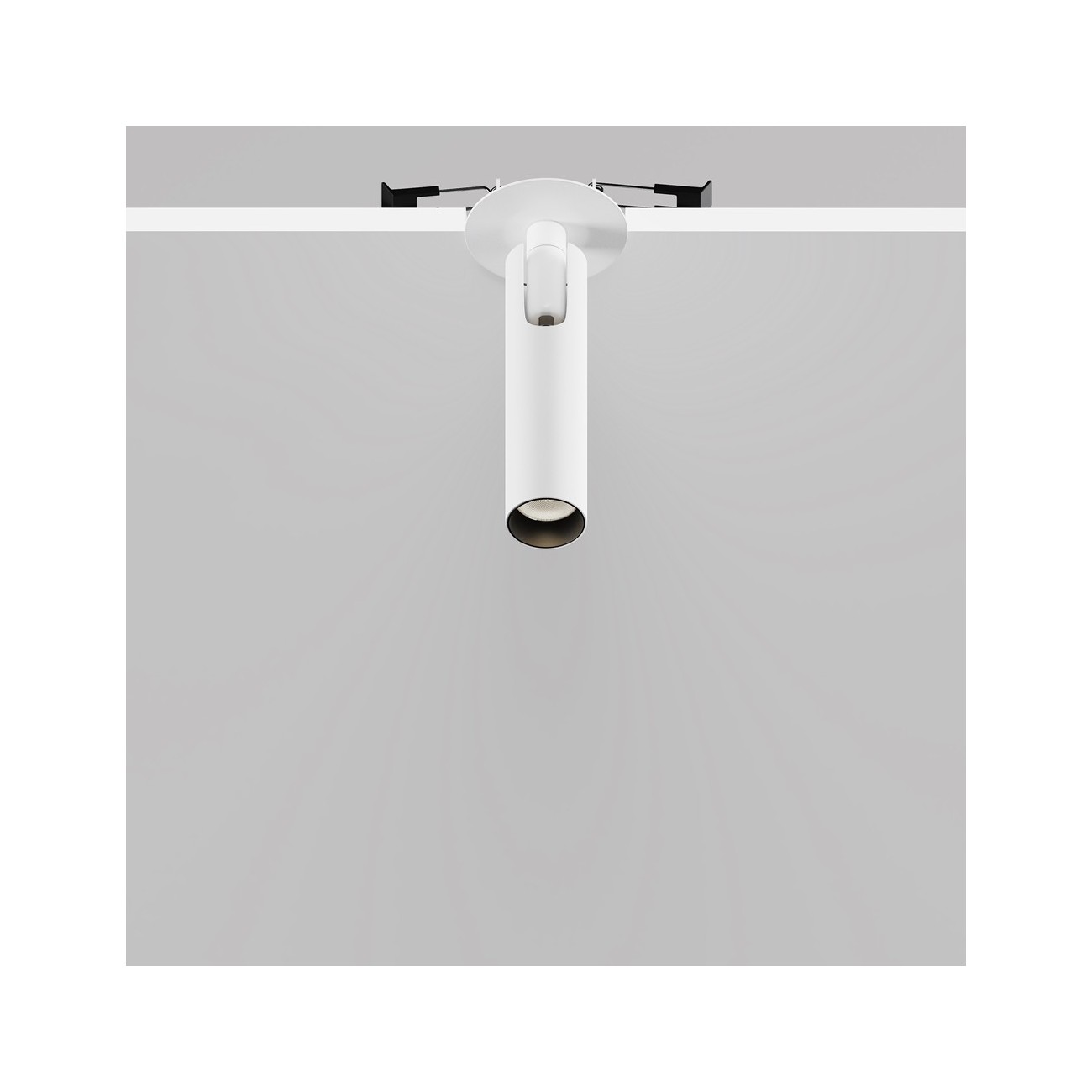 Maytoni Ceiling Roof lamp Focus T