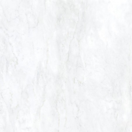 Ava Marmi Bianco Bernini