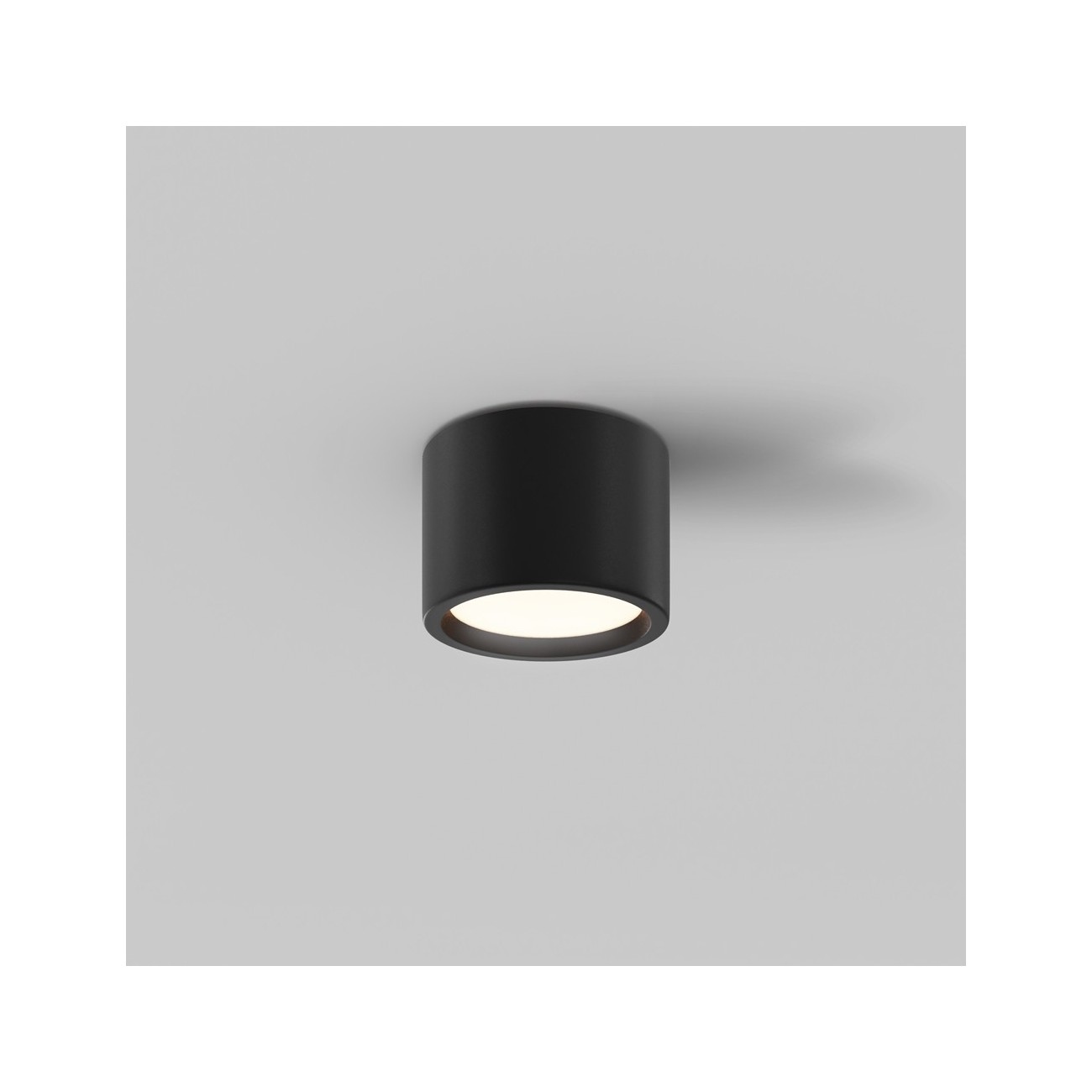 Maytoni Ceiling Roof lamp Hydra