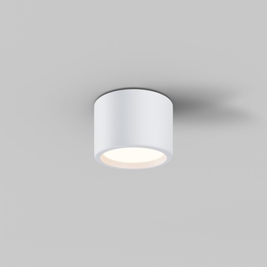 Maytoni Ceiling Roof lamp Hydra