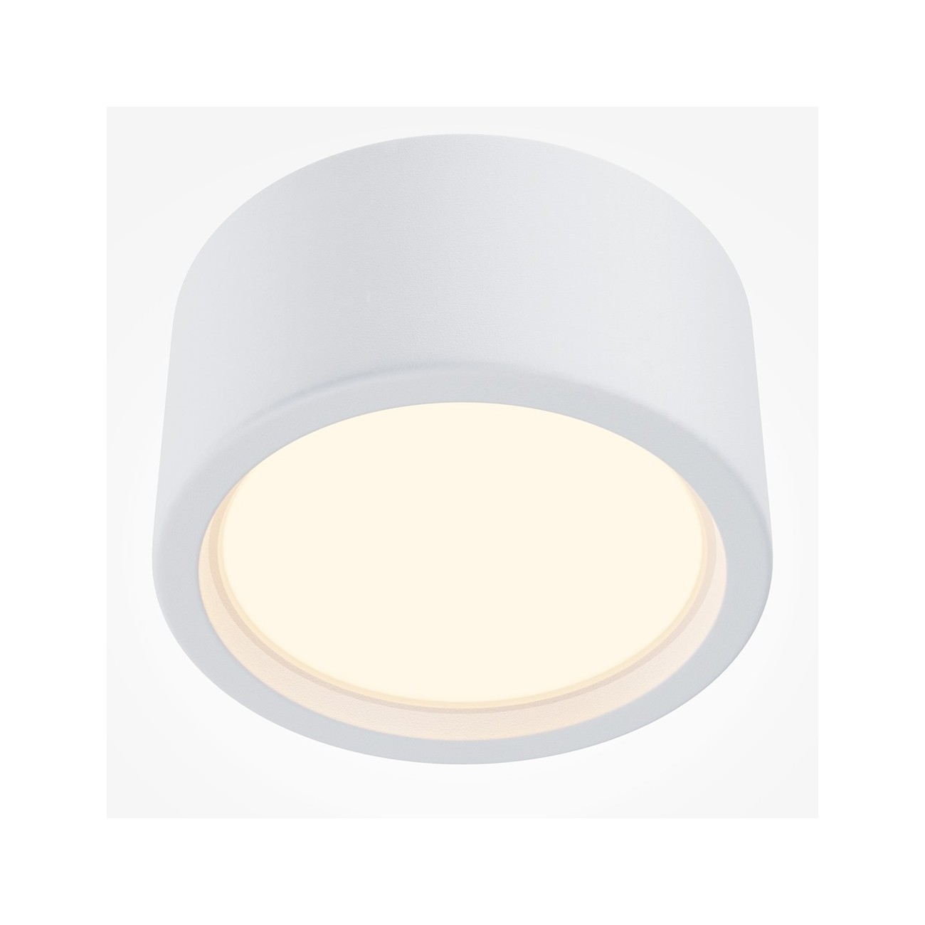 Maytoni Ceiling Roof lamp Hydra