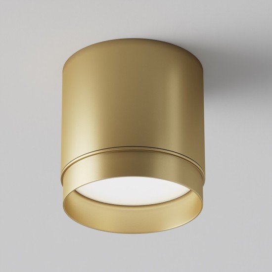 Maytoni Ceiling Roof lamp Polar