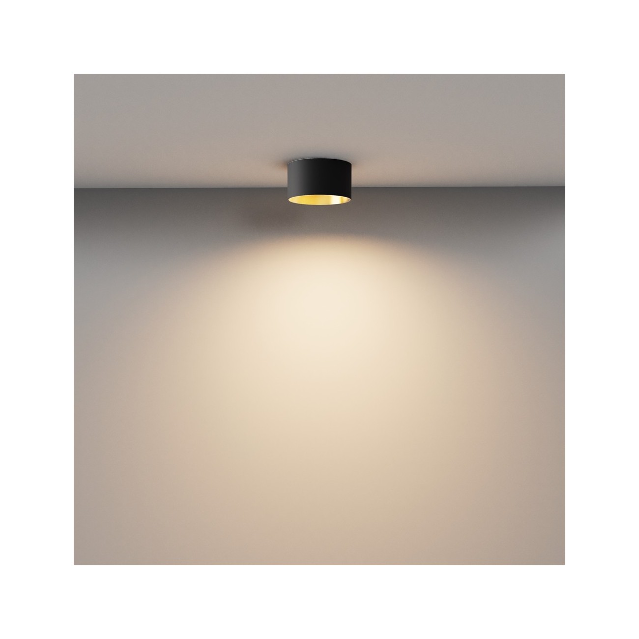 Maytoni Ceiling Roof lamp Vega