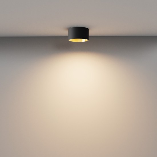 Maytoni Ceiling Lampe de Toit Vega