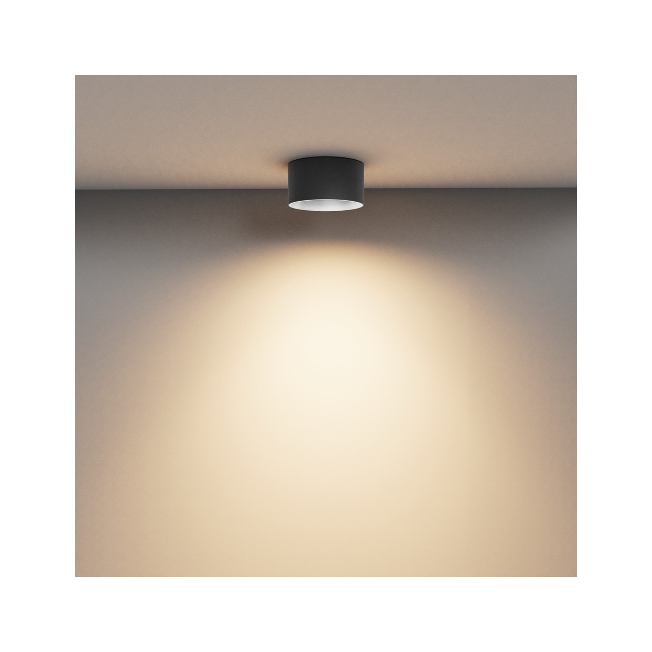 Maytoni Ceiling Lampada a Tetto Vega