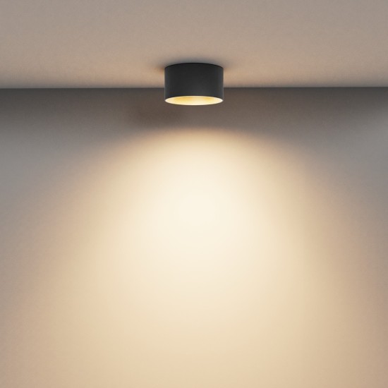 Maytoni Ceiling Lampada a Tetto Vega