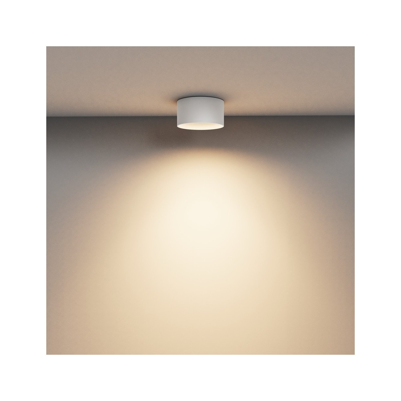 Maytoni Ceiling Lampe de Toit Vega