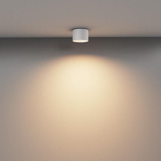 Maytoni Ceiling Roof lamp Vega