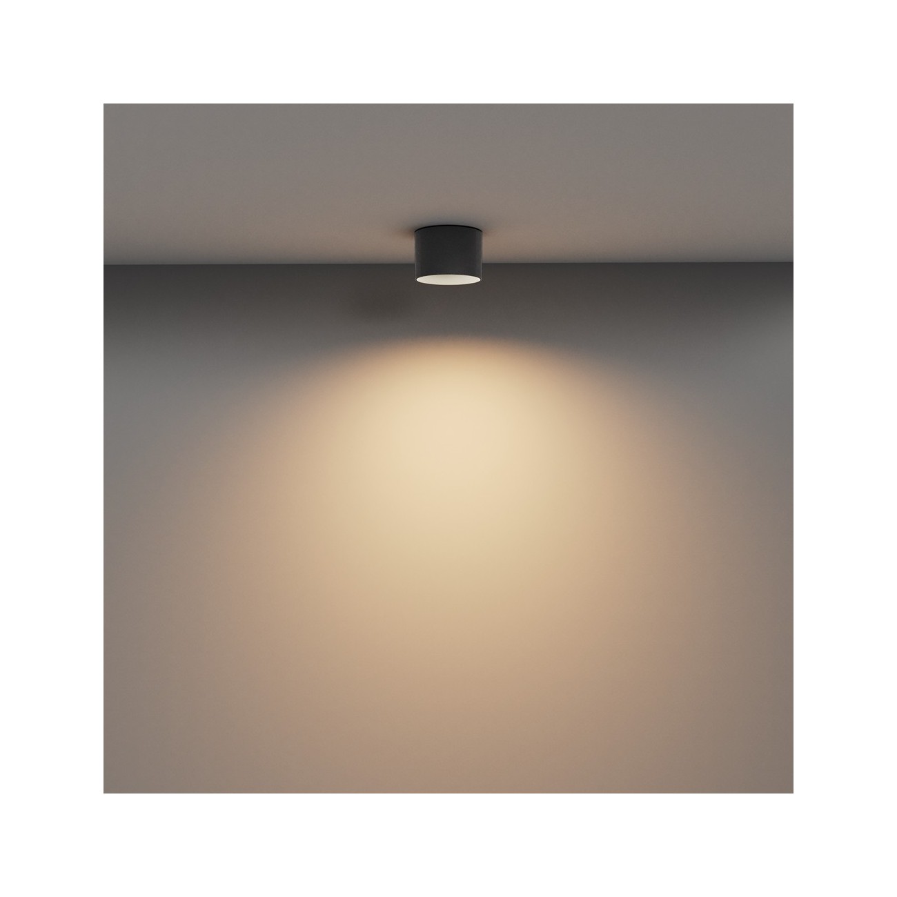Maytoni Ceiling Roof lamp Vega