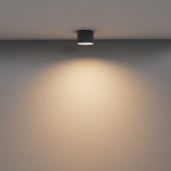 Maytoni Ceiling Roof lamp Vega