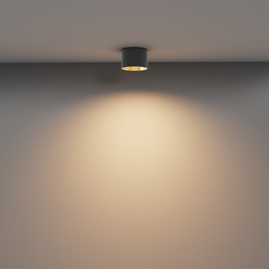 Maytoni Ceiling Lampe de Toit Vega