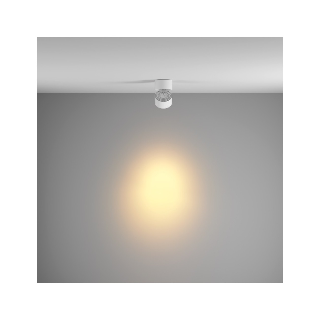 Maytoni Ceiling Lampe de Toit Yin 2700-4000K