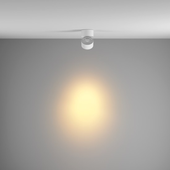 Maytoni Ceiling Lampada a Tetto Yin 2700-4000K