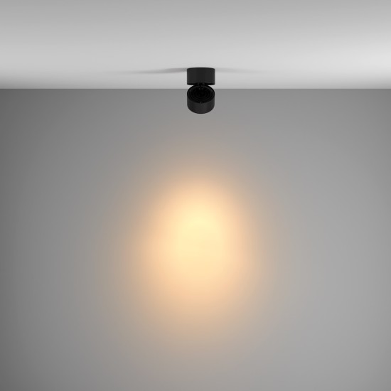 Maytoni Ceiling Roof lamp Yin 4000K
