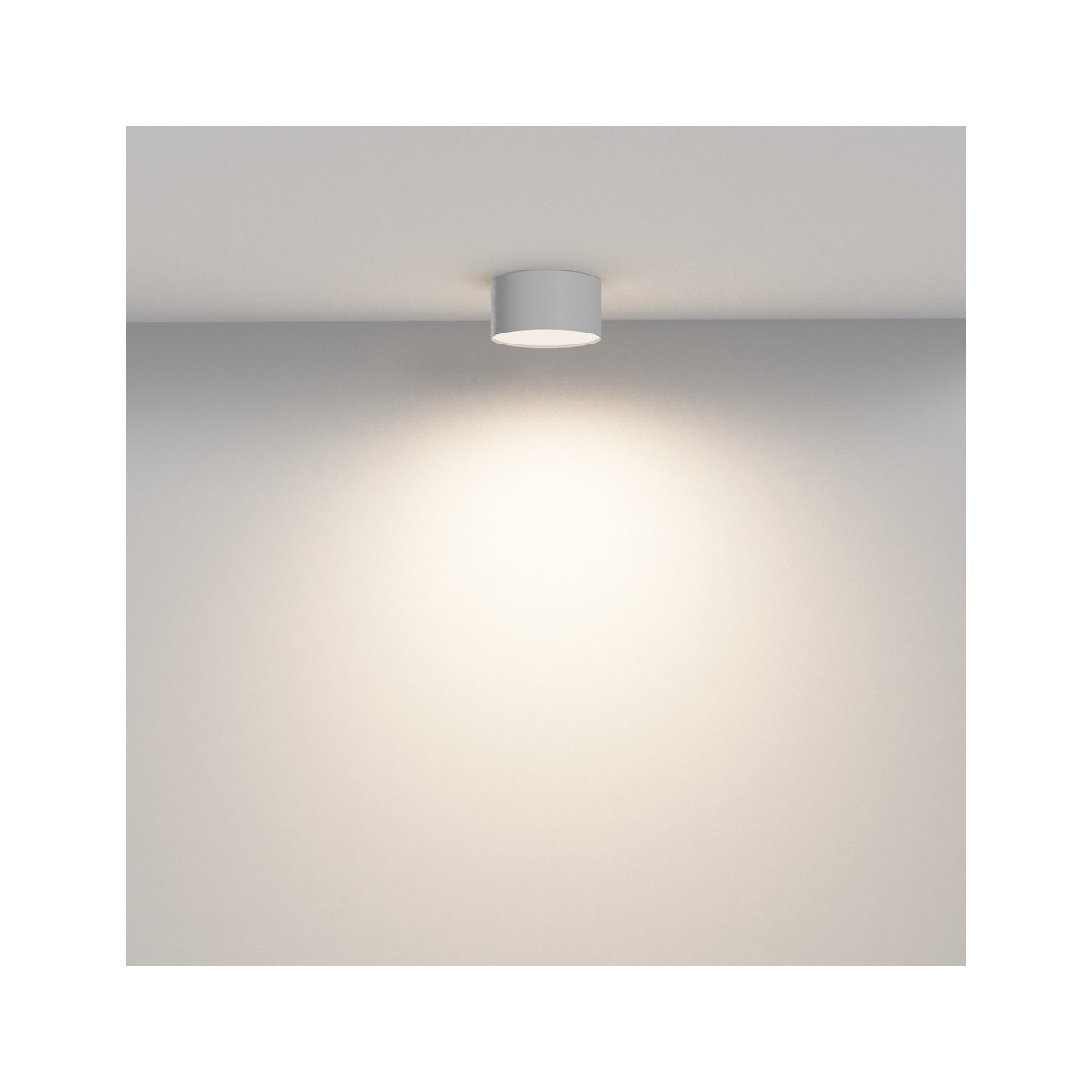 Maytoni Ceiling Lampada a Tetto Zon