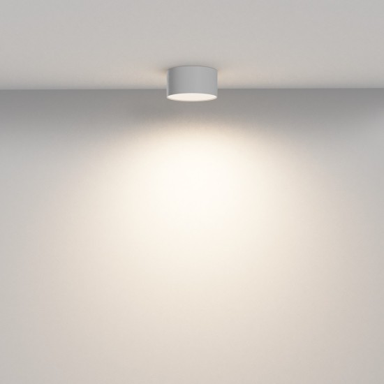 Maytoni Ceiling Roof lamp Zon
