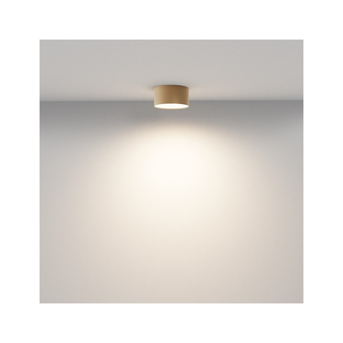 Maytoni Ceiling Lampe de Toit Zon