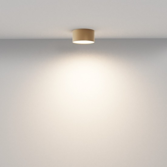 Maytoni Ceiling Lampada a Tetto Zon