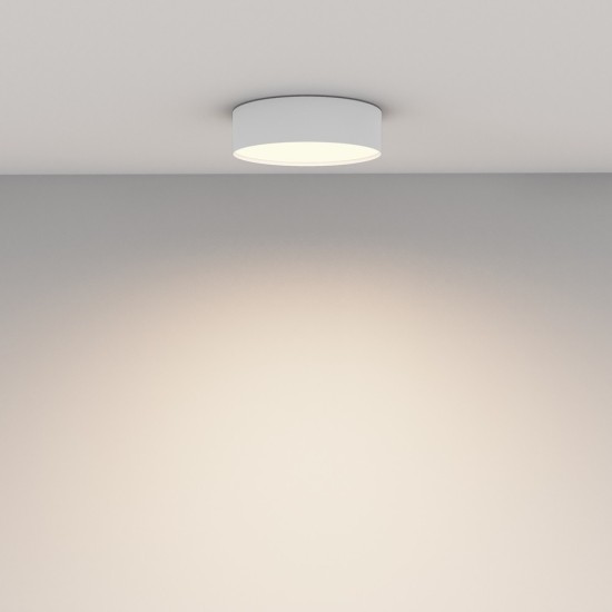 Maytoni Ceiling Lampe de Toit Zon
