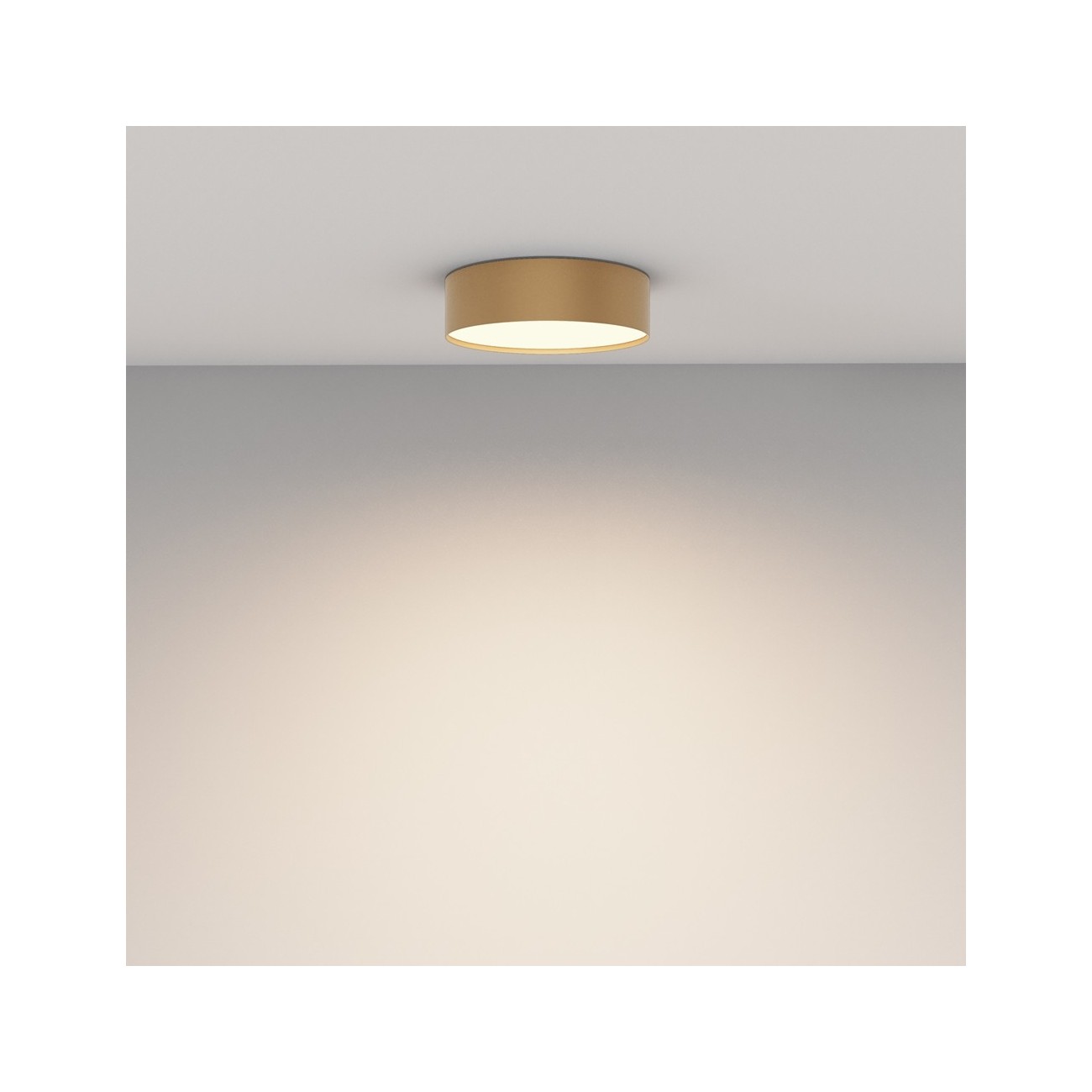 Maytoni Ceiling Roof lamp Zon