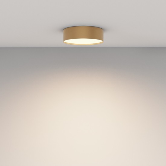 Maytoni Ceiling Lampada a Tetto Zon