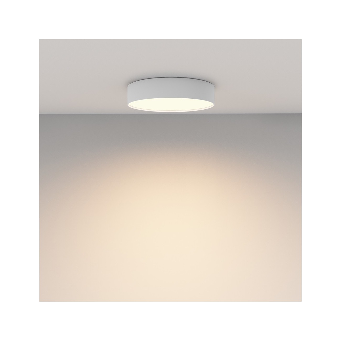 Maytoni Ceiling Roof lamp Zon