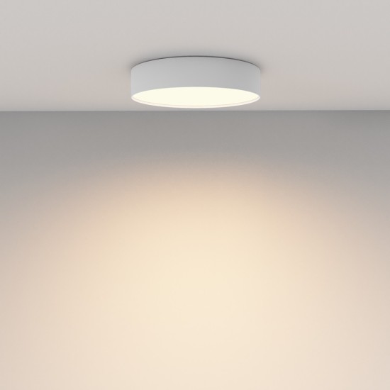 Maytoni Ceiling Lampada a Tetto Zon