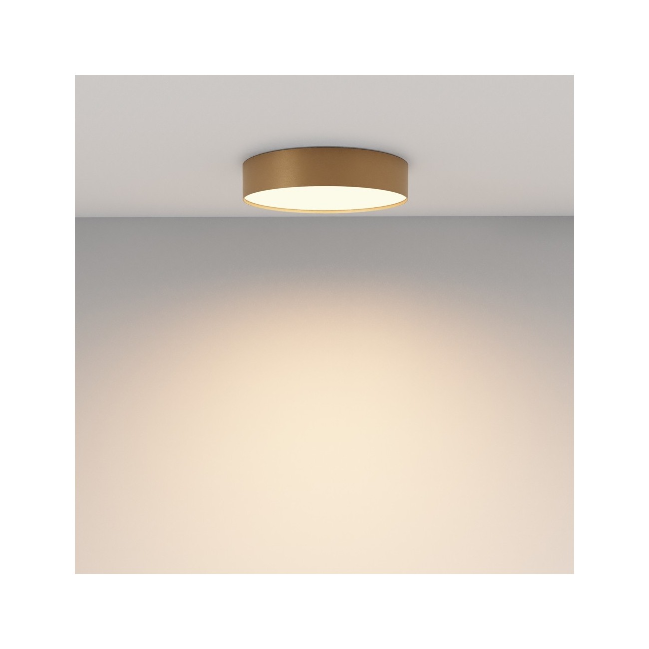 Maytoni Ceiling Roof lamp Zon