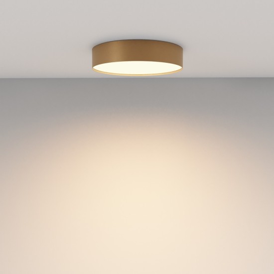 Maytoni Ceiling Lampada a Tetto Zon