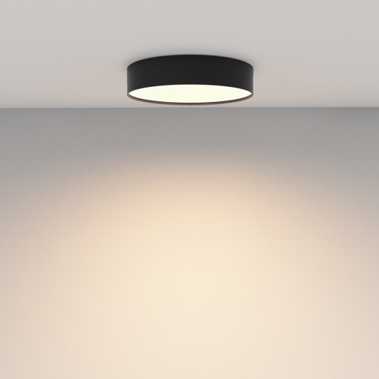 Maytoni Ceiling Roof lamp Zon