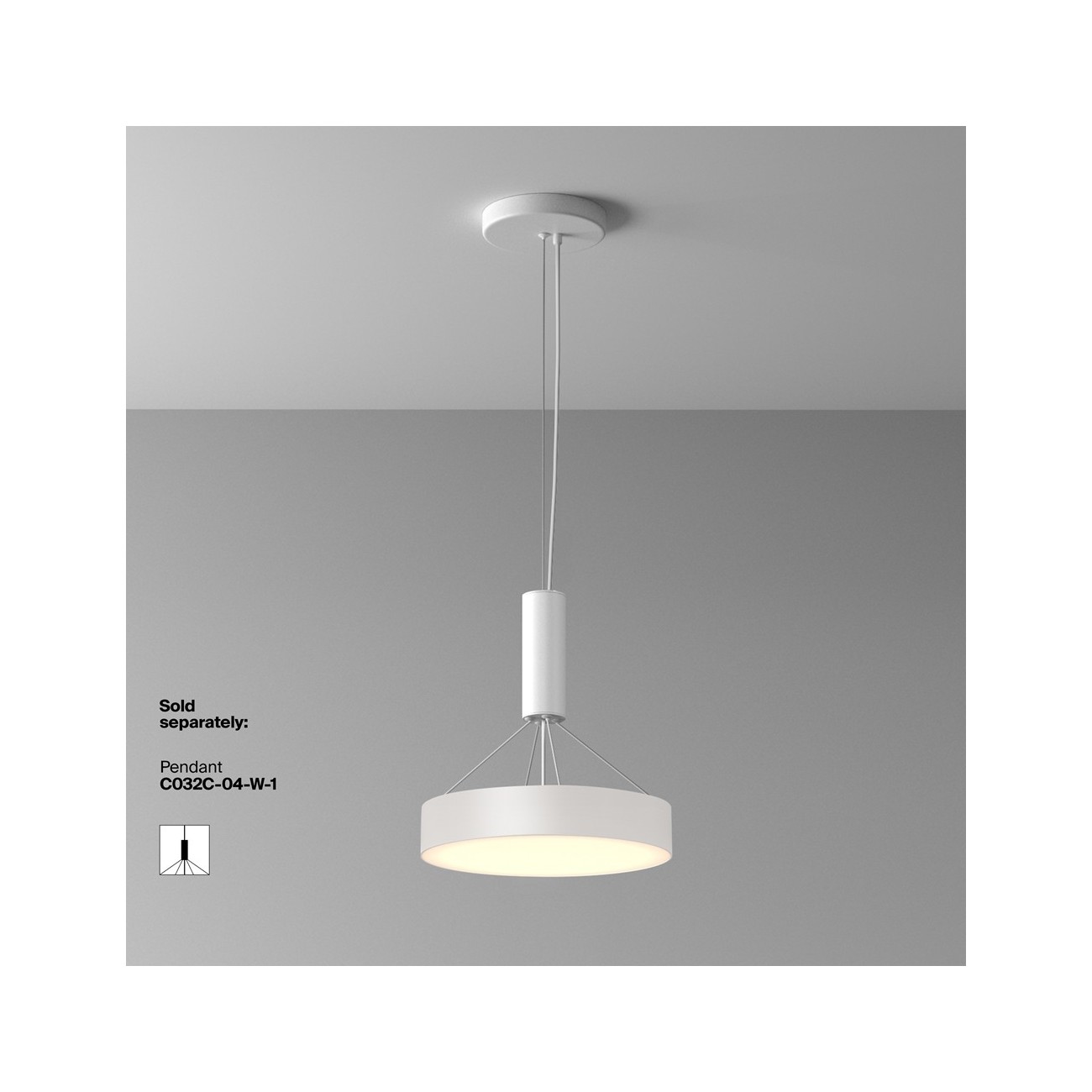 Maytoni Ceiling Roof lamp Zon