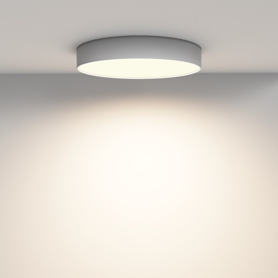 Maytoni Ceiling Roof lamp Zon