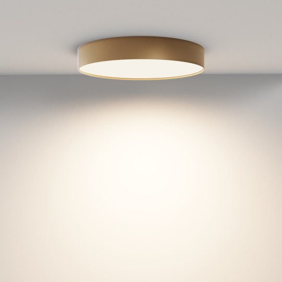 Maytoni Ceiling Lampada a Tetto Zon